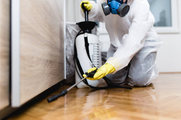 Best Best Pest Control Companies  in Lithonia, GA