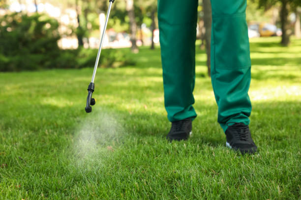 Best Rat Extermination Near Me  in Lithonia, GA