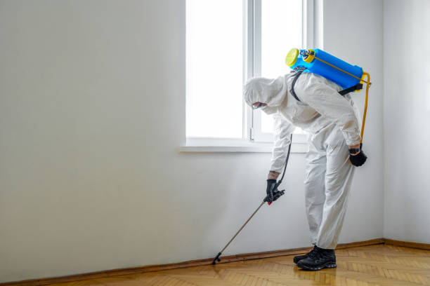 Wasp Removal Services in Lithonia, GA