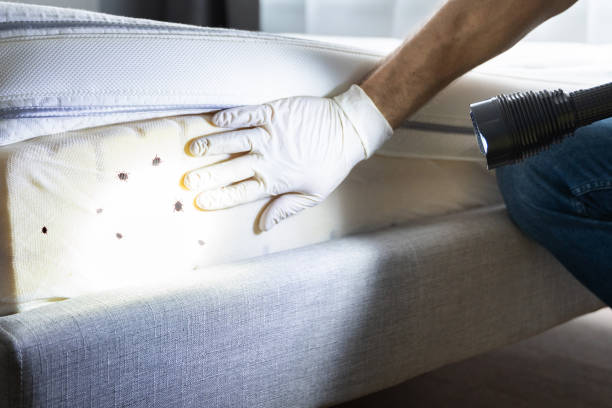 Best Commercial Pest Control Services  in Lithonia, GA